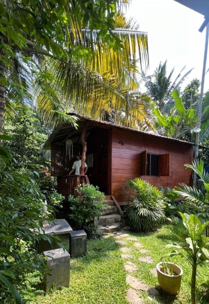 Hotel The Green Station Dikwella Sur Exterior foto