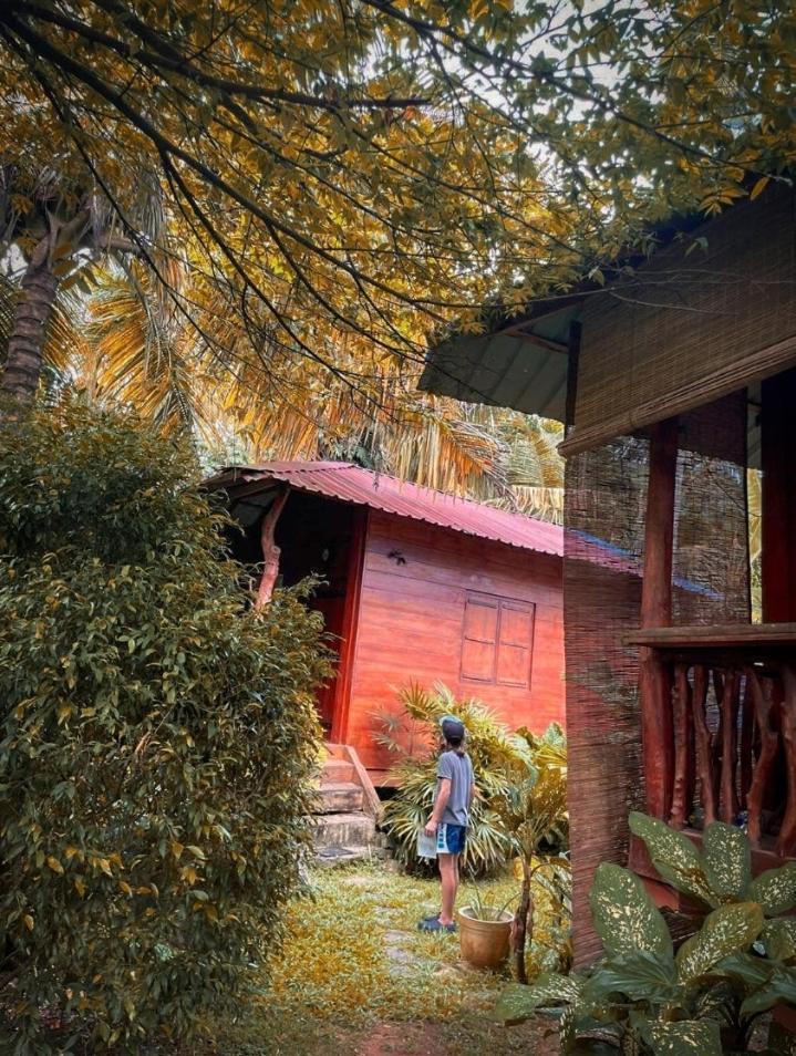 Hotel The Green Station Dikwella Sur Exterior foto