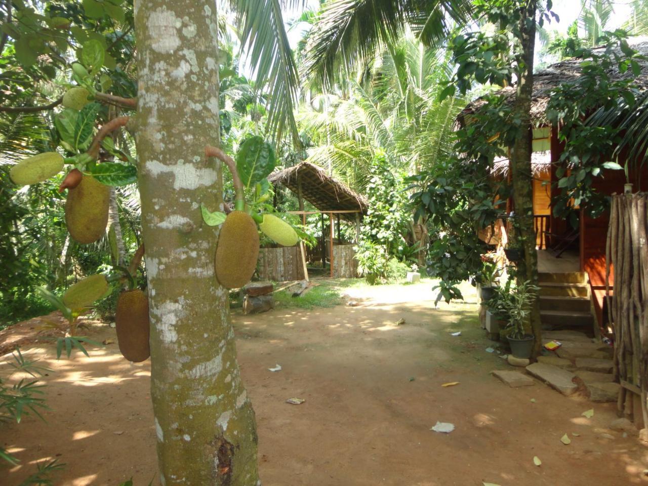 Hotel The Green Station Dikwella Sur Exterior foto