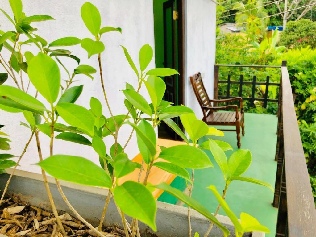 Hotel The Green Station Dikwella Sur Exterior foto